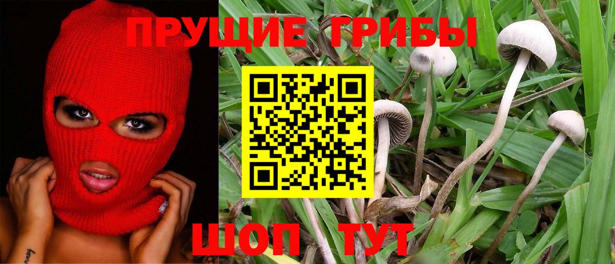 Галлюциногенные грибы Psilocybine cubensis  Вход с VPN  Псилоцибиновые грибы Psilocybine cubensis  где найти наркотики  Шарыпово 